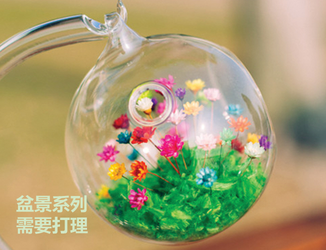 M Flower 地球儀製作班 - Image 4
