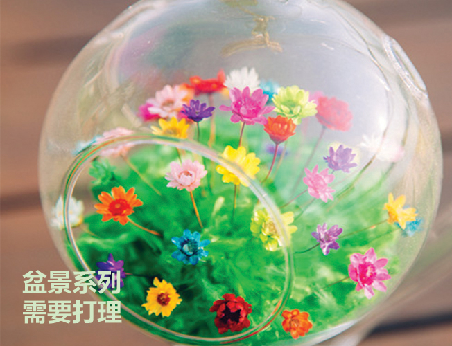 M Flower 地球儀製作班 - Image 3