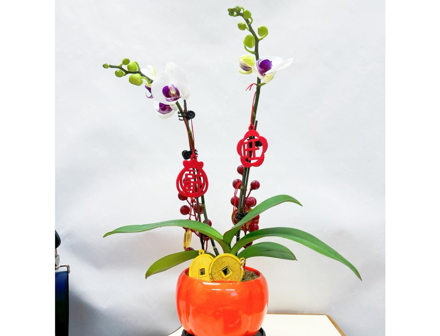 賀年蘭花工作坊 - Image 3