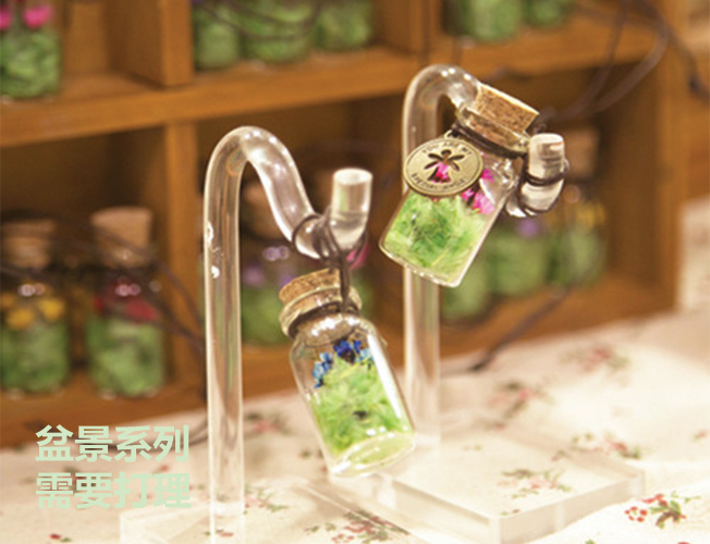 M Flower 許願瓶製作班 - Image 2